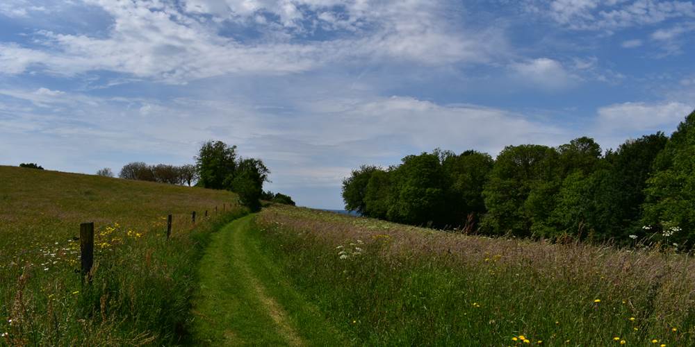 DSC_0315
