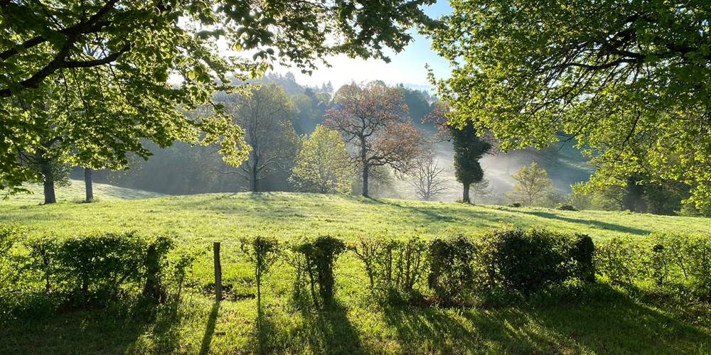 La vue depuis la Tiny House