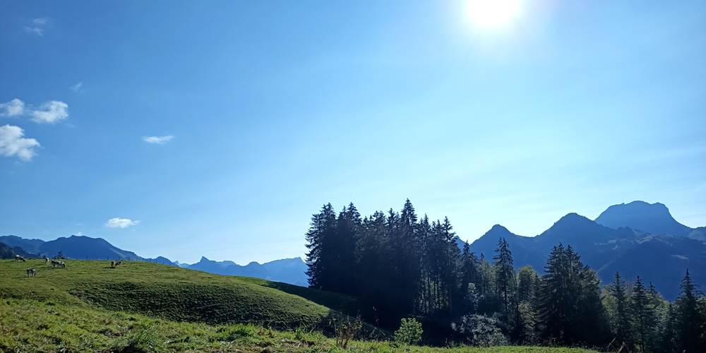 Randonnée au dessus du studio, vue sur le Moléson