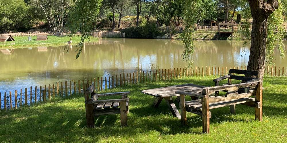 Ecolodge Charles Ashton salon jardin