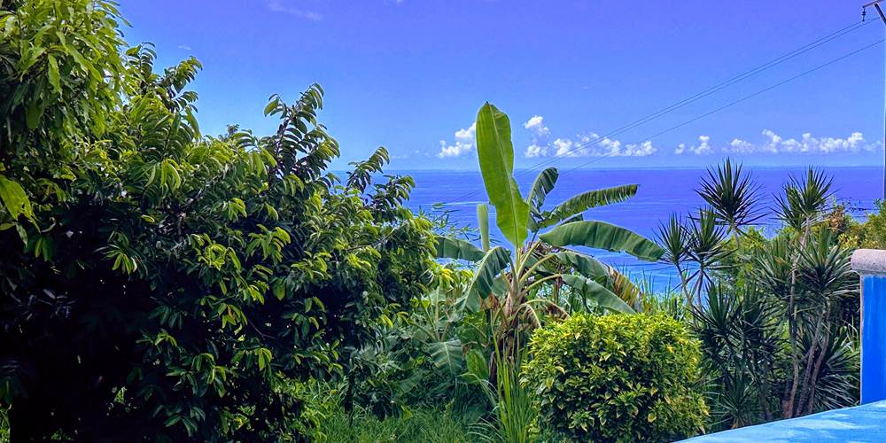 Le paradis vert et bleu