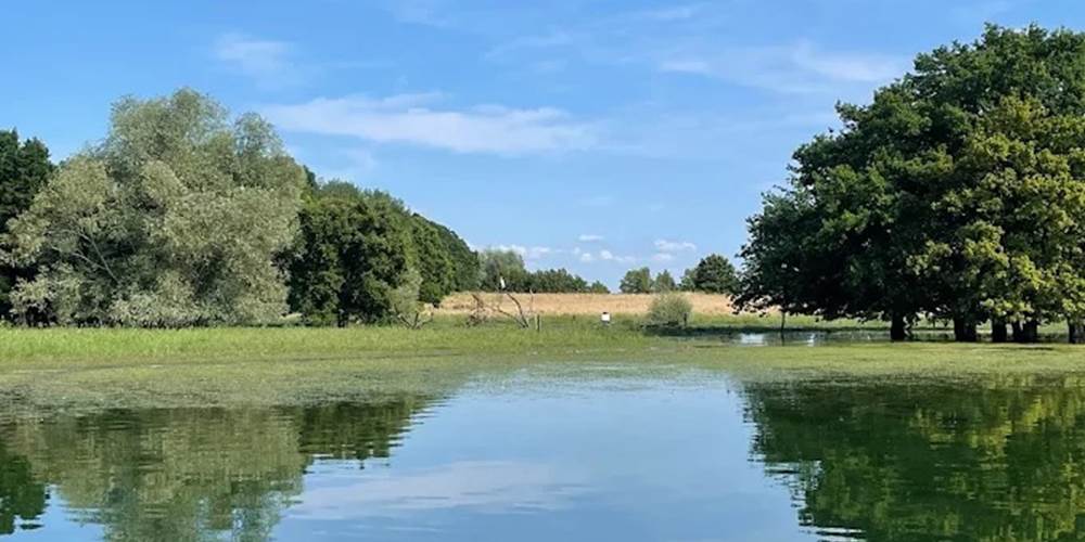 ile au moutons lac du der