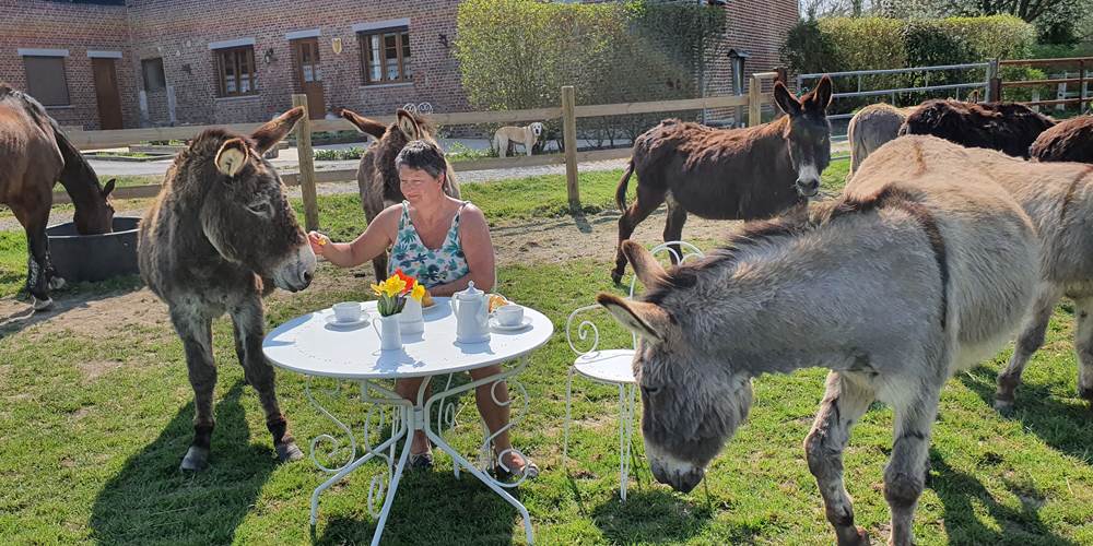Pause café en bonne compagnie