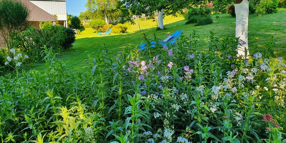 Jardin fleuri