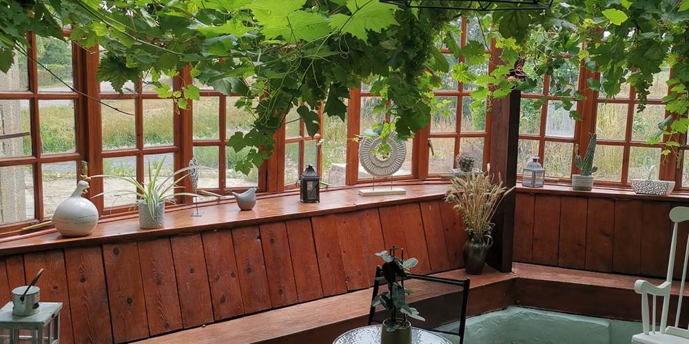 Le jardin d'hiver avec sa vigne