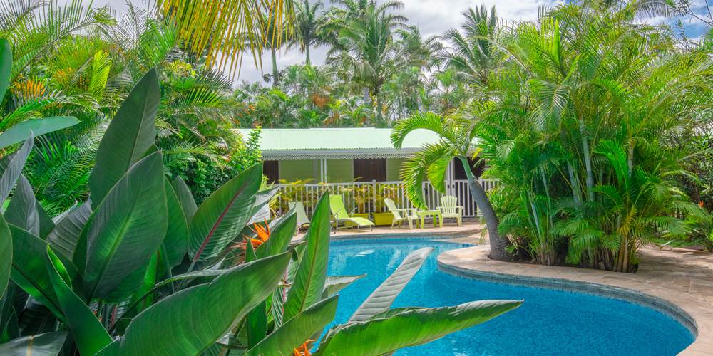 LOCATION YLANG 1 ET 2 FACE À LA PISCINE A L'ETANG SALÉ BAOBAB ET PALMIERS