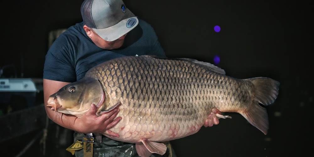 communes 67LB