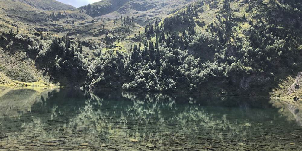 D5CF8F80-77D3-45D4-9A73-056C47B851B8