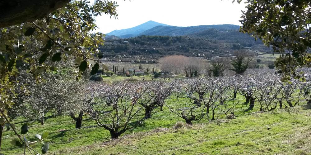 Vue avec le mont Ventoux