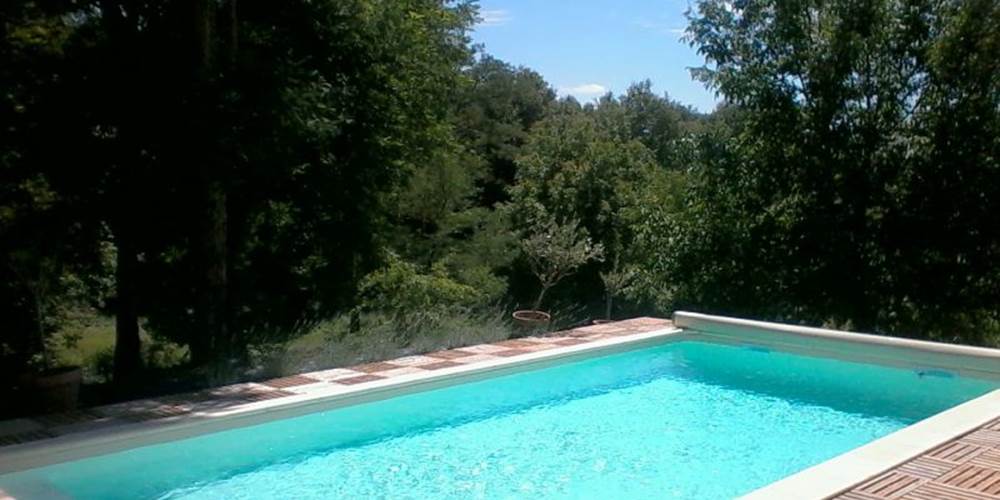 La piscine et la vue sur le jardin