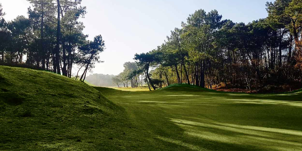 Vue Golf au bout du jardin