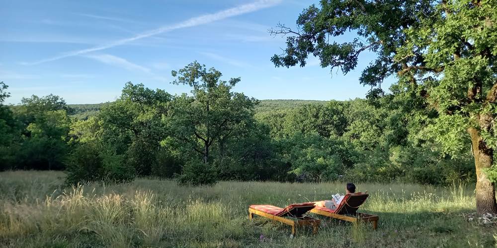 Rêverie au jardin avec vue sur le Causse