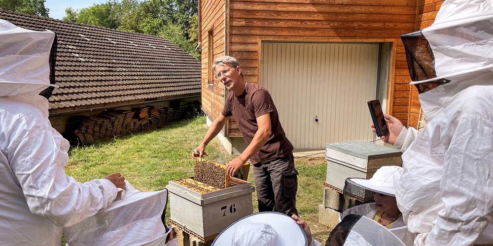 Fête du miel