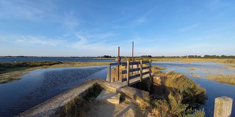Les marais de Saint Armel - Golfe du Morbihan