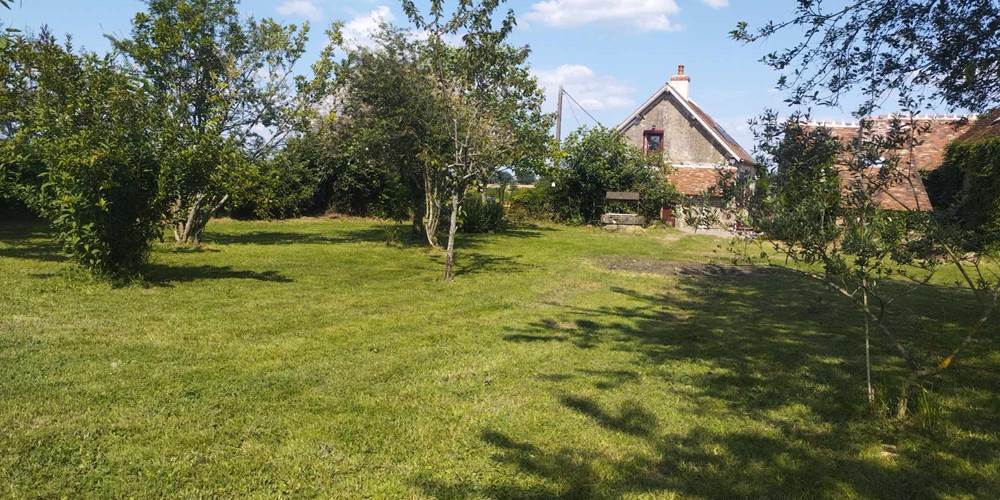 Parc arboré - Gîte de l'Espinasse