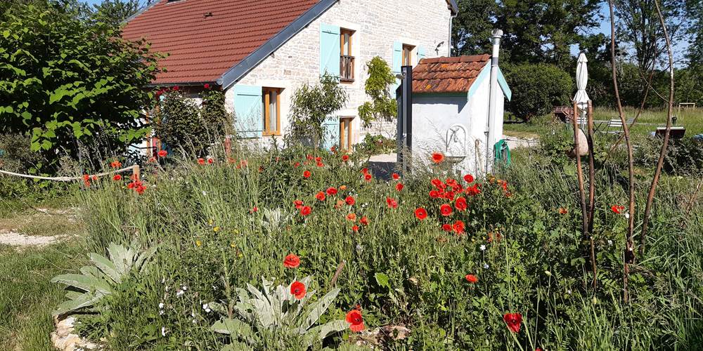 Entouré de la nature