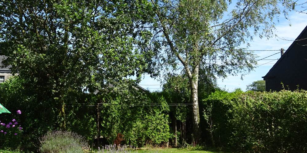 Jardin du gîte 2