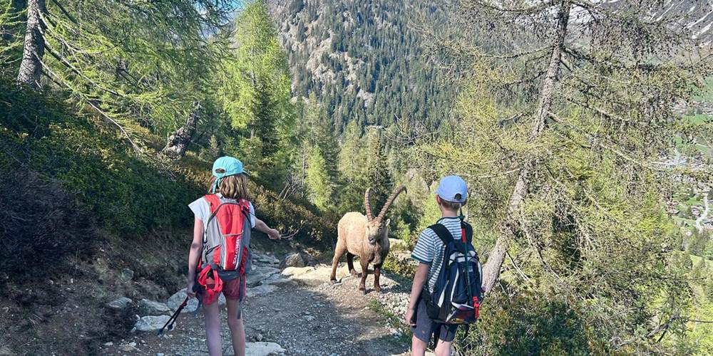 Vallorcine - Réserves des Aiguilles Rouges, des rencontres inoubliables