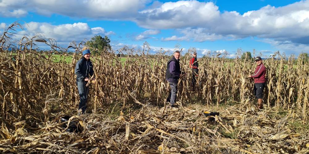 39394aa1-0b46-45c4-82f4-eeb1168dcb32