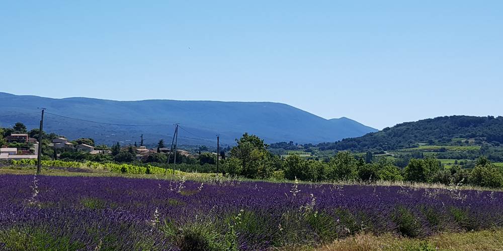 La plaine de Sylla à l'entrée des gites Luberon Lub'heureux