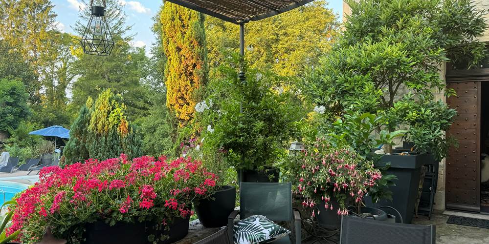 la terrasse