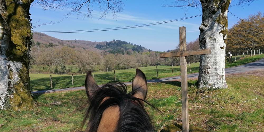 Vue sur les Monts d'Ambazac lors d'une randonnée à cheval depuis le Gîte de la Chevêche