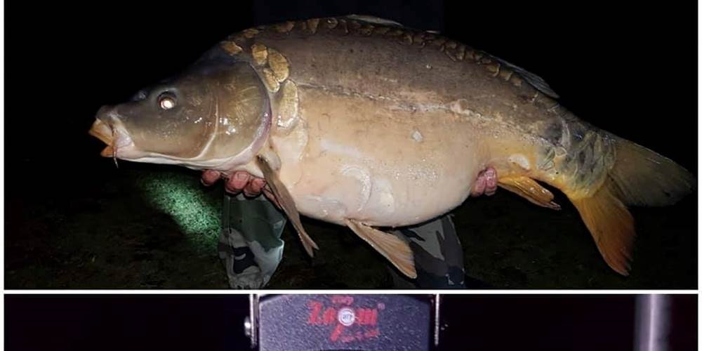 carpe 18 kg 590   avril 2019