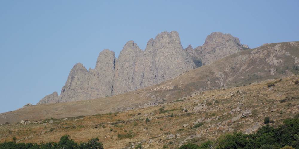 Cinque frati