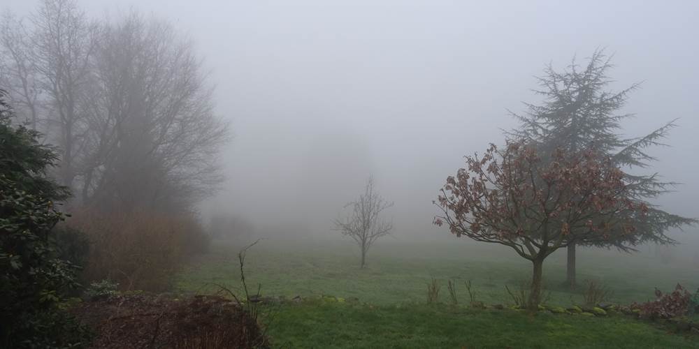 automne matinal dans les jardins