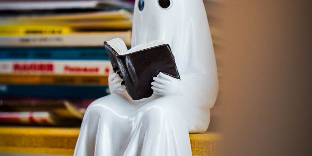 fantome-decoration-bibliotheque-gite-ocimes-la-bresse