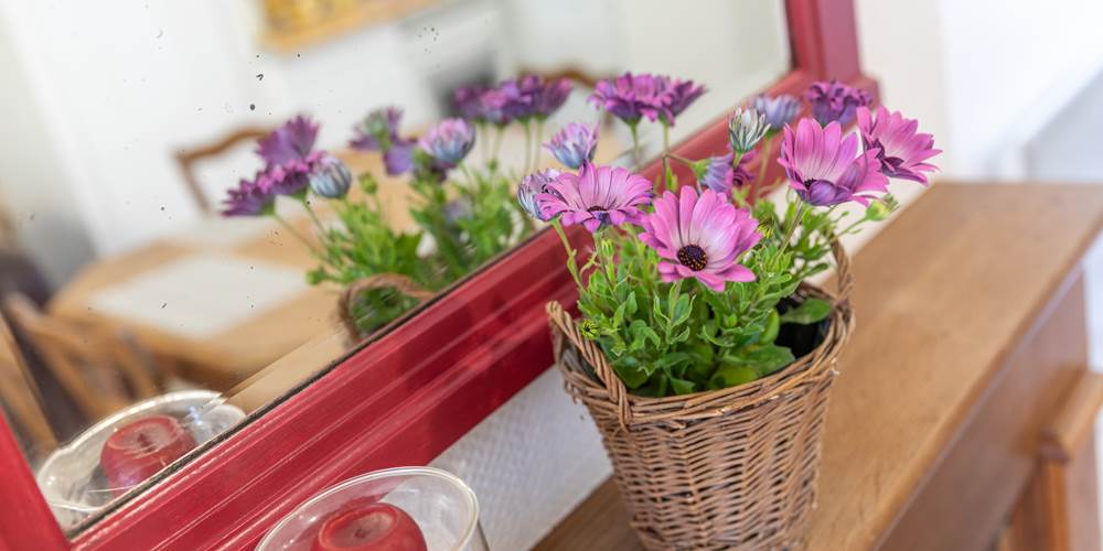 kankaven_07052021_20