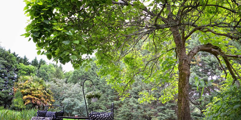 Jardin