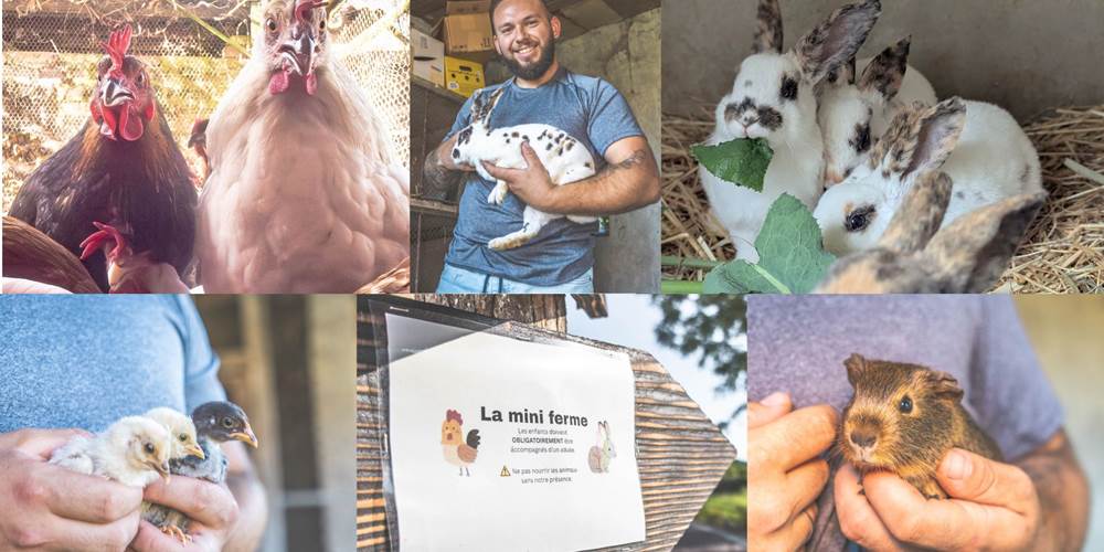 la-mini-ferme