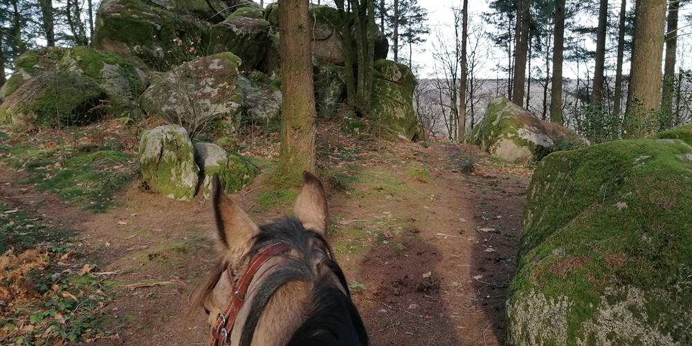 Randonnée équestre dans les Monts du Limousin - Gîte de la Chevêche -Pierre Millet à Saint Léger La Montagne