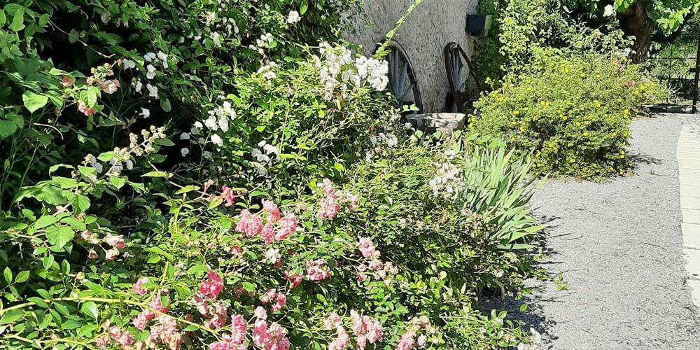 Entrée Studios et gîte