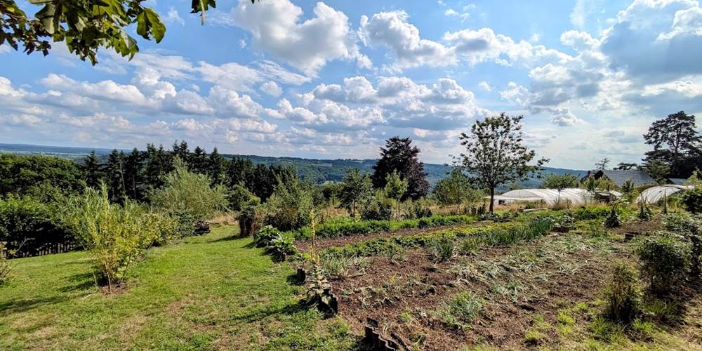vue sur la nature