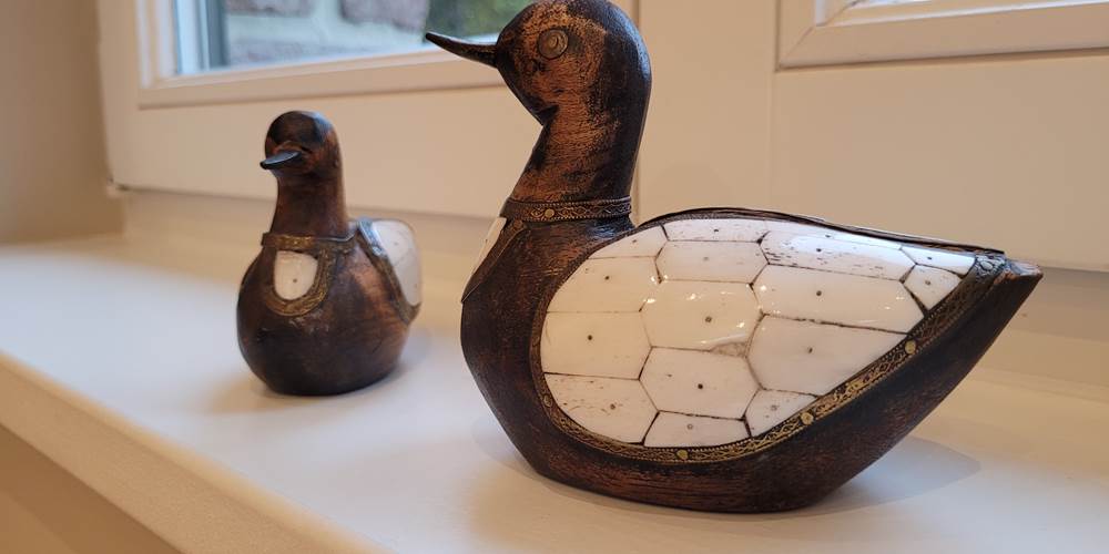 Canards