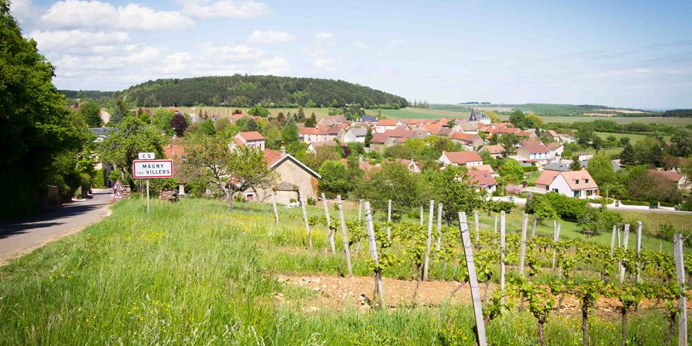 village calme dans vignoble de cote d'or au printemps
