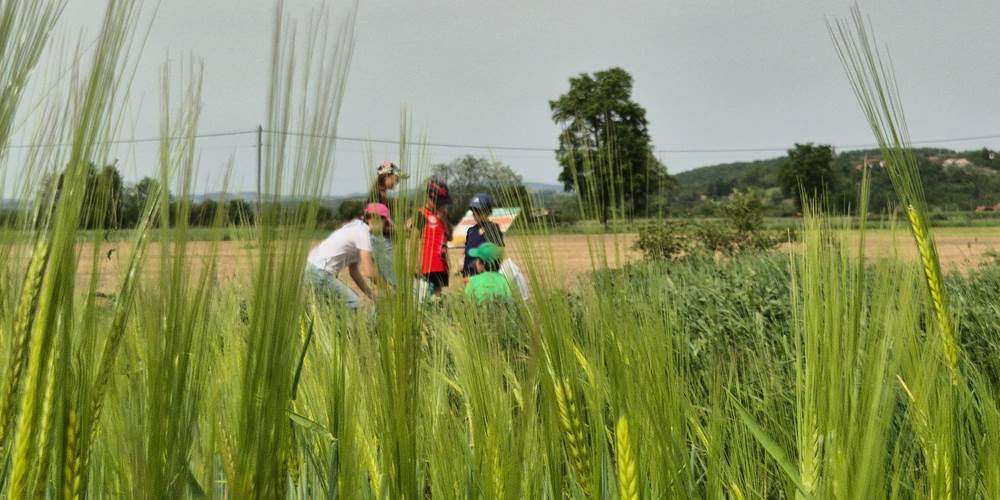 enquete à la ferme des delices st cyr les vignes
