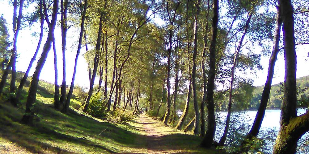 Sentier de rives à Nergout