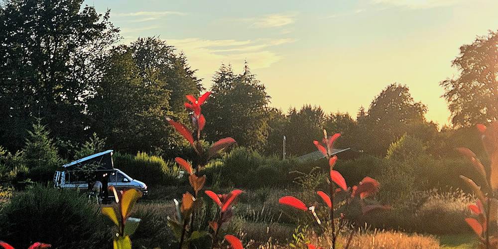 Le Ranch Camping- Campsite