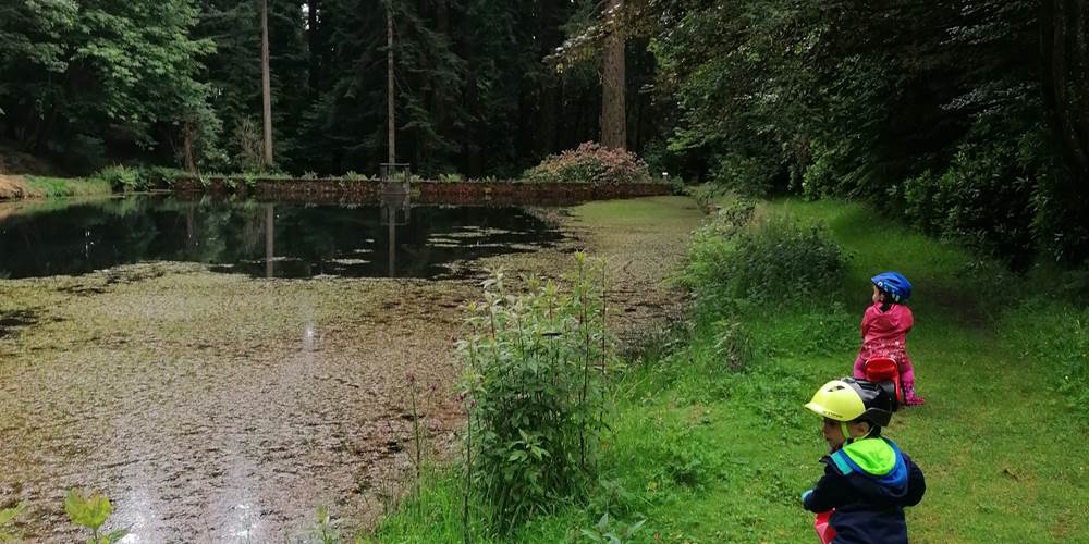 Arboretum de la Jonchère-Saint-Maurice dans les Monts du Limousin pour une sortie en famille - Ferme de la Chevêche
