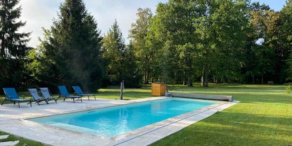 Une piscine au coeur de la végétation.