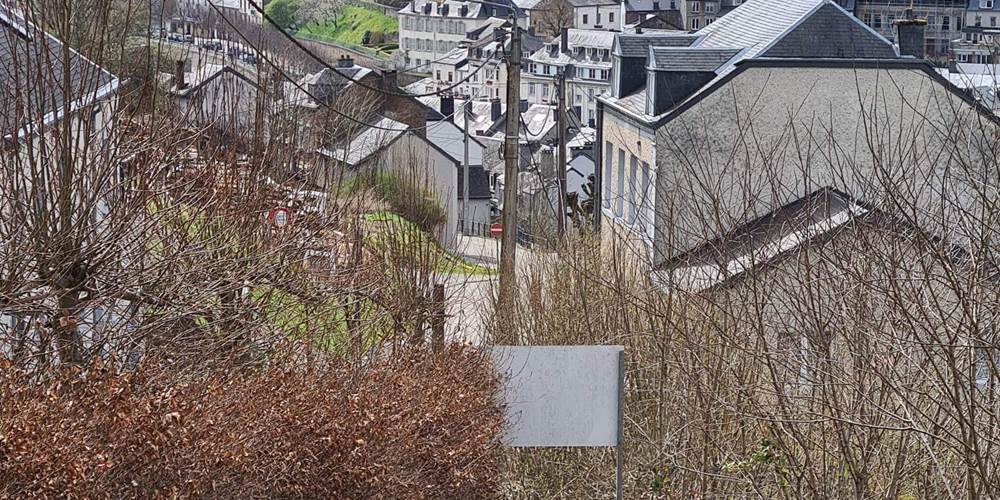 Vue des Jardins de La Ferronnière