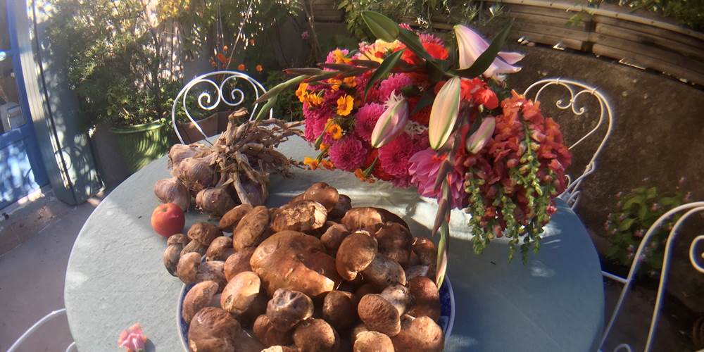 automne: fleurs et cèpes