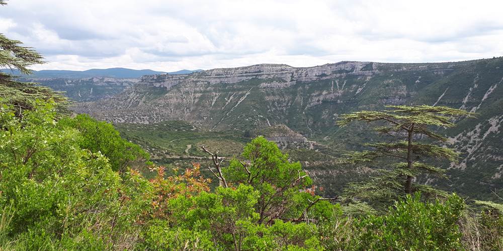 Gorges de la Vis au sud d'Alzon