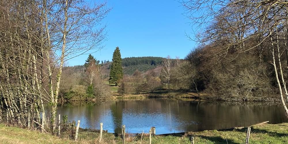 Les terres de la chouette, les nombreux petits étangs font le charme des paysages Limousin