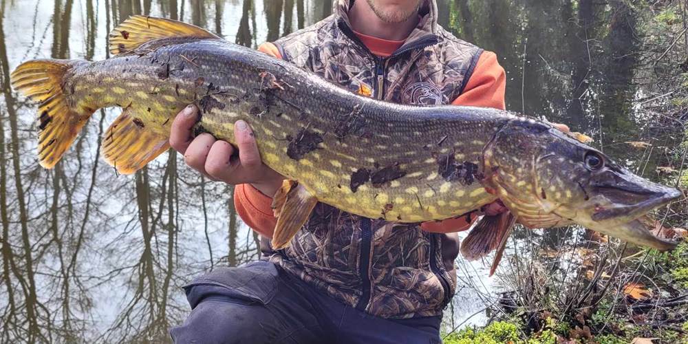 Etant privè à 7km du Moulin de Lavaugarde