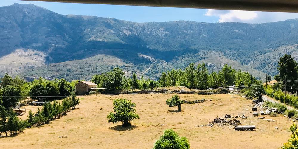 vue depuis la chambre