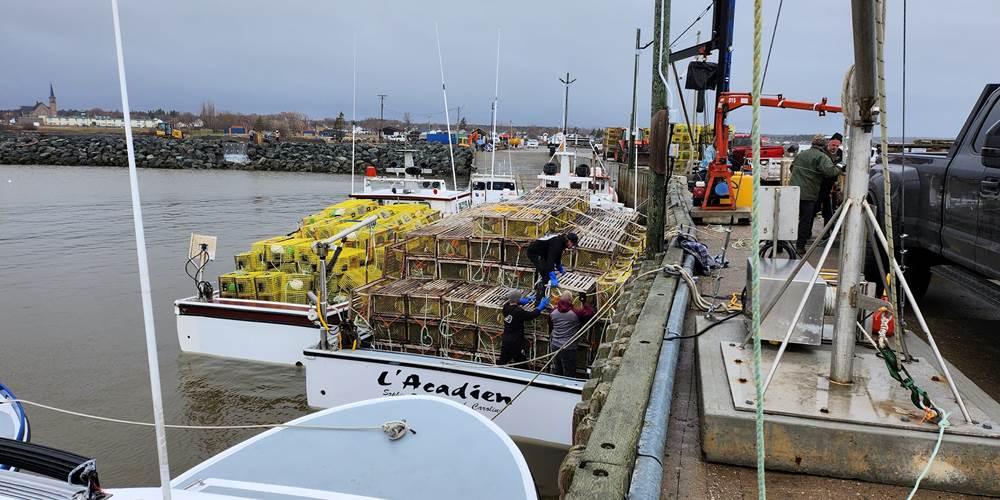 Pêche Homard Motel & Chalets l'Acadien vue sur mer 